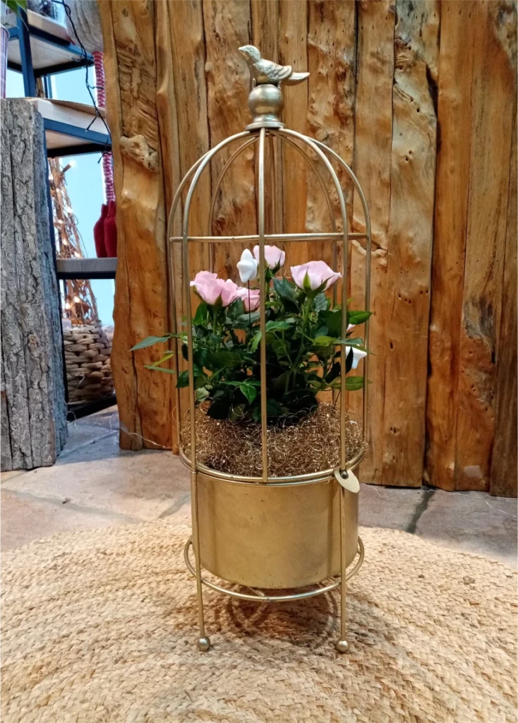 Et Fleurs Fleuriste Quimper Decouvrez Nos Actualites