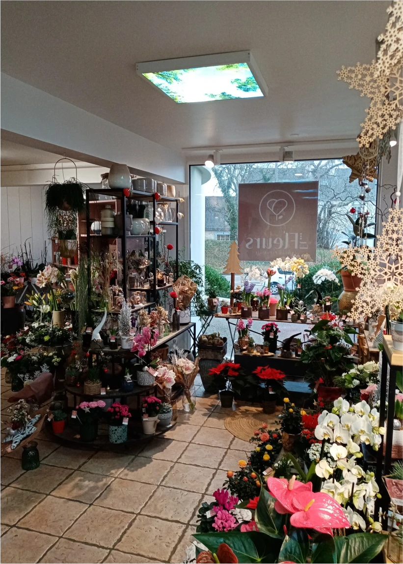 Et Fleurs Fleuriste Quimper ET .FLEURS Fleuriste A Quimper Lart De Sublimer Vos Moments 3