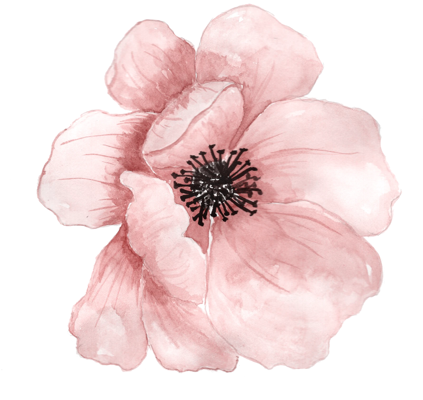 Et Fleurs Fleuriste Quimper ET .FLEURS Flowers 2 1