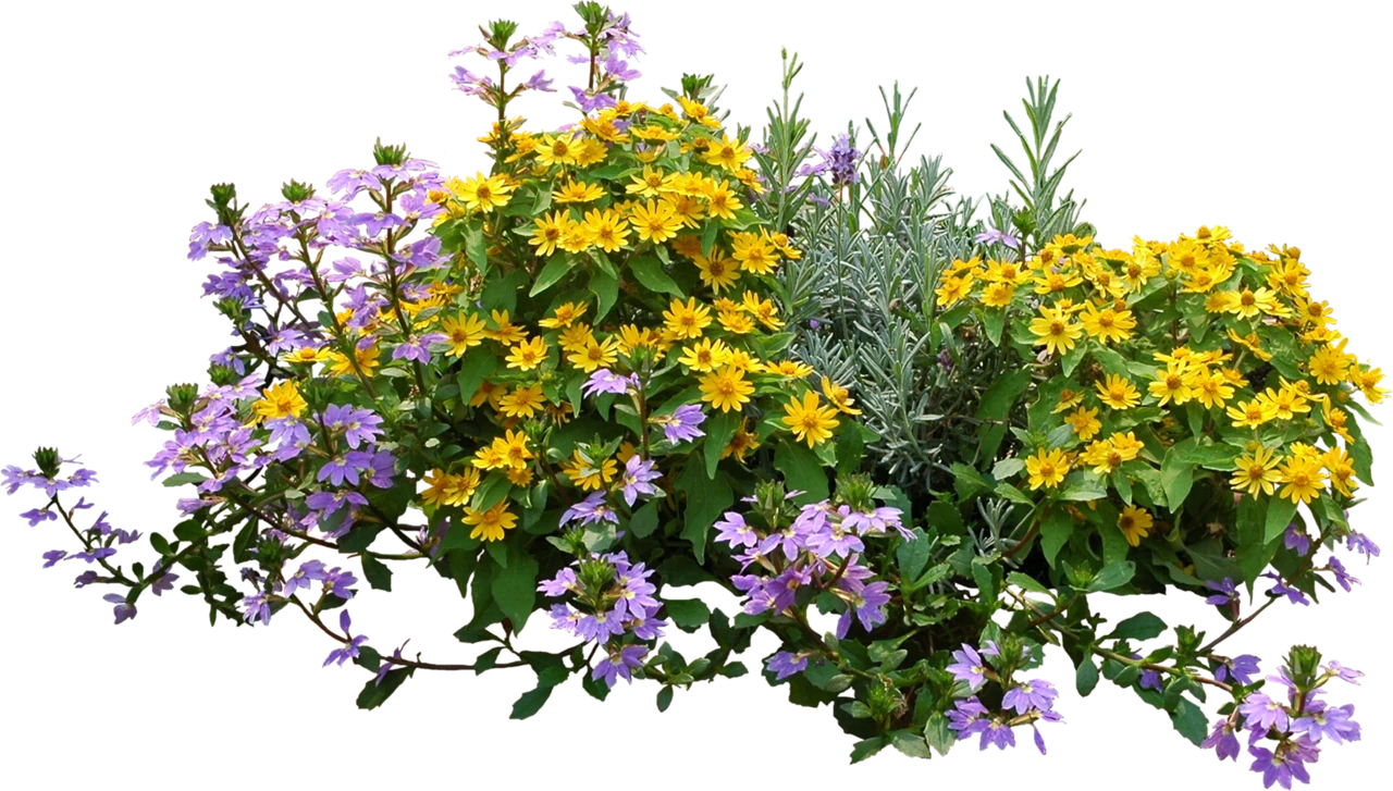 Et Fleurs Fleuriste Quimper ET .FLEURS Flowers